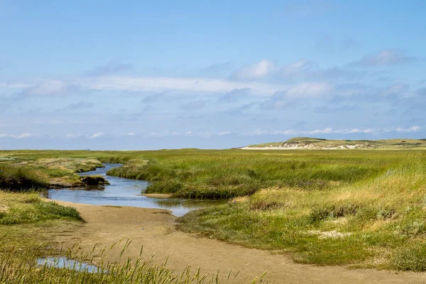 Marshland Landscape Slufter Nature Reserve Nationaal Park Duinen Van Texel — Stock Photo, Image