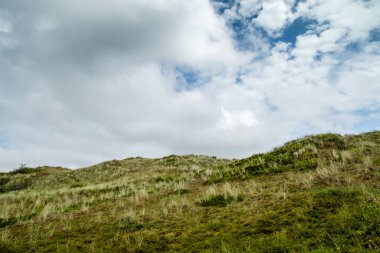 Texel Ulusal Parkı 'nın kum tepeleri