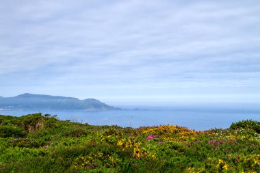 İspanya, Galiçya 'nın Atlantik kıyı şeridinde ilkbahar manzarası