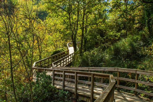 西班牙加利西亚Ribeira Sacra Mao River Canyon的木制人行道 — 图库照片