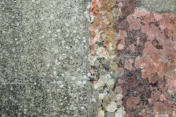 Vieux Mur Ciment Détresse Avec Lichens Texture Grunge Fond — Photo