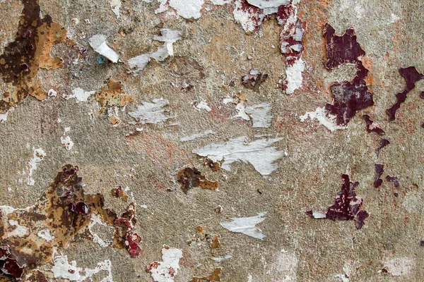Stary Mur Cementowy Obraną Farbą Papierem — Zdjęcie stockowe