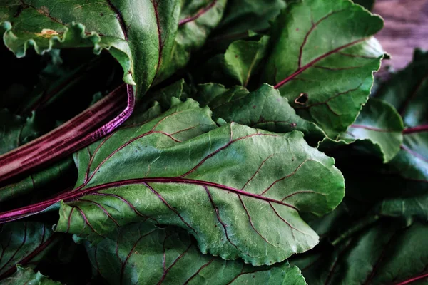 Beta Vulgaris Czerwone Buraki Zielone Jadalne Liście Betaniny Kolorowe Łodygi — Zdjęcie stockowe