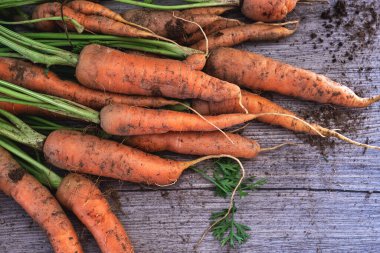 Mutfak bahçesinden taze havuç hasadı, sade ahşap masada ev yapımı sağlıklı yiyecekler. 