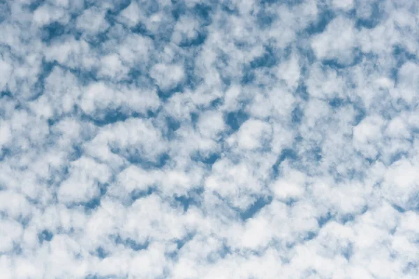 Altocumulus Floccus Nubes Esponjosas Blancas Que Cubren Cielo Azul —  Fotos de Stock