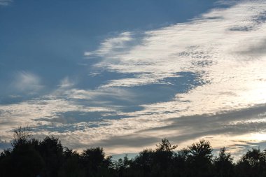 Mavi gökyüzünde Cirrocumulus beyaz bulutları, Cirrocumulus stratiforis