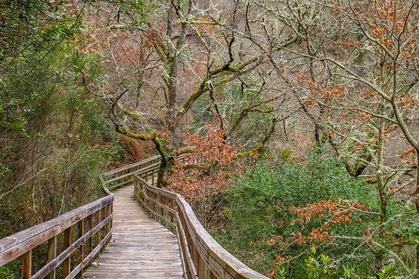 Houten Loopbrug Mao River Canyon Ribeira Sacra Galicië Spanje — Stockfoto