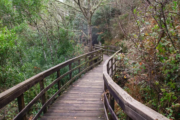 西班牙加利西亚Ribeira Sacra Mao River Canyon的木制人行道 — 图库照片