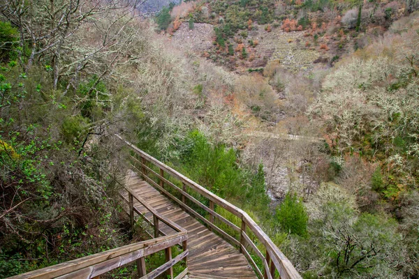 Passarela Madeira Sinal Trilha Desfiladeiro Rio Mao Ribeira Sacra Galiza — Fotografia de Stock