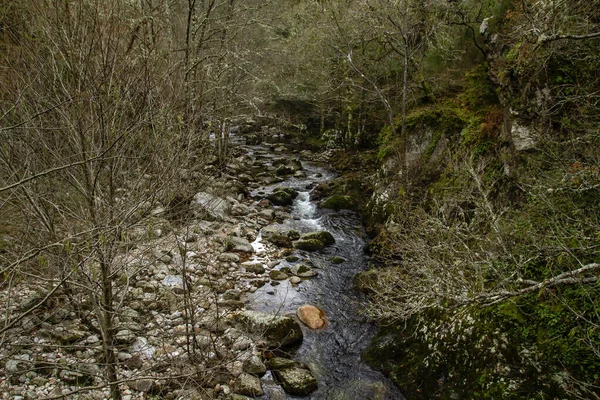 Rivier Mao Atlantisch Bos Ribeira Sacra Galicië Spanje — Stockfoto