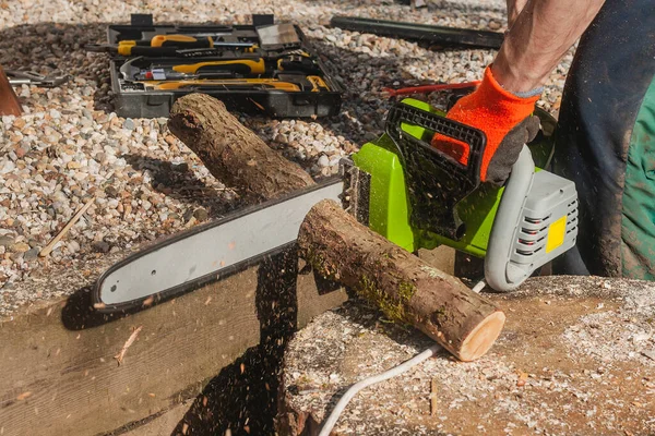 Professional Lumberjack Cutting Coppicing Logs Chainsaw Protective Gloves Clothing — Stock Photo, Image