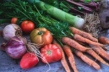 Mutfak bahçesinden taze sebzeler, içinde domates, havuç, soğan, pırasa, pancar kökü ve diğer yeşiller, paleo diyet malzemeleri, ev yapımı sağlıklı yiyecekler var.