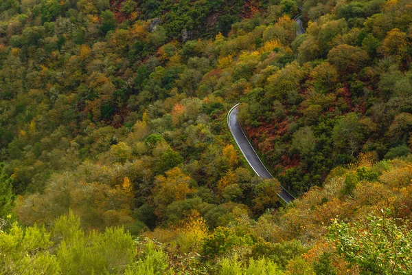 Curvy Mountain Road Autumnal Atlantic Forest Ribeira Sacra Galicia Spain — Stock Photo, Image