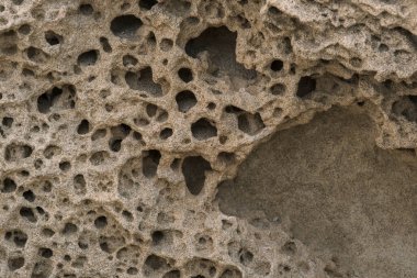 Fosilleşmiş Quaternary aeolian oolite-dune 'daki erozyon detayları Los Escullos sahilinde, Cabo de Gata-Nijar Geopark