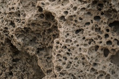 Los Escullos sahilindeki Fosilleşmiş Quaternary aeolian aeolite-dune, Cabo de Gata-Nijar Geopark 'ın detayları
