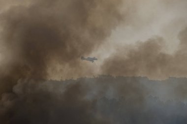 Vahşi ateşin bastırılması için çalışan hafif uçaklar bizim ormanımızdaki bir orman yangınında duman bulutunun içinden uçuyor.
