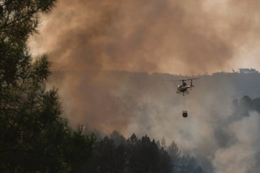 Helyum kovalı su bombacısı helikopteri. Galiçya, İspanya 'daki yangında çalışıyor.