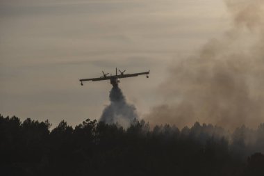 Amfibi uçaklar çam ormanındaki bir orman yangınına su döküyorlar. Ourense, Galiçya, İspanya