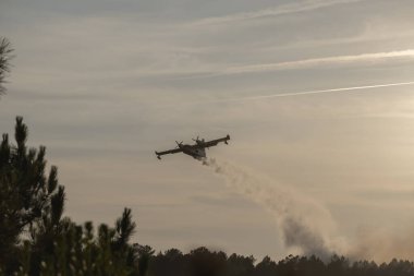 Su bombacısı amfibi uçakları Galiçya, İspanya 'daki bizim orman yangınlarında çalışıyor.