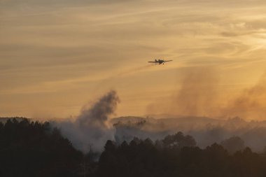 İspanya 'nın Galiçya eyaletinde orman yangını