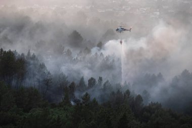 Kırmızı helyum kovası ile vahşi yangını bastıran helicopeter suyu İspanya, Galiçya 'da, Ourense' de bir orman yangınına bırakıyor.