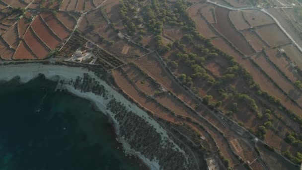 地中海の田園地帯は、マルタ島の水によって工場を明らかに茶色の乾燥した農業分野を飛び越えて、日没の空中ビュー — ストック動画
