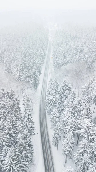 눈덮인 깊은 겨울 폭풍 속의 흰 숲을 가로지르는 도로 — 스톡 사진