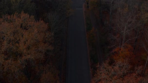 Forest Road with Cars in rural Nature landscape in Germany, Aerial Birds Eye View Top Προβολή πολύχρωμων φθινοπωρινών δέντρων σε καφέ πορτοκαλί και πράσινο από ψηλά — Αρχείο Βίντεο