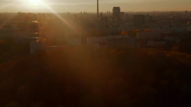 Γραφικό Εναέρια Drone View above Park Nature with Trees in City Center of Berlin, Germany in Autumn with beautiful fall colors, Aerial Out slow tilt up — Αρχείο Βίντεο