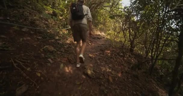 Following a determined young male hiker walking uphill surrounded by a thick tropical rainforest in Bali — Stock Video