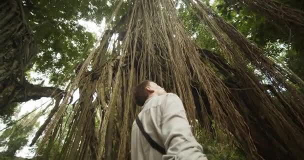 Nízký úhel záběru mladého muže hledícího do baldachýnu tropického deštného pralesa s dlouhými vinicemi v džungli na Bali. — Stock video