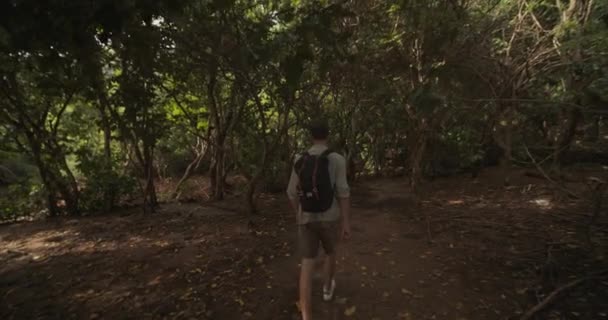 Caméra suivant un randonneur masculin en vêtements kaki marchant à travers une forêt tropicale humide à Bali — Video