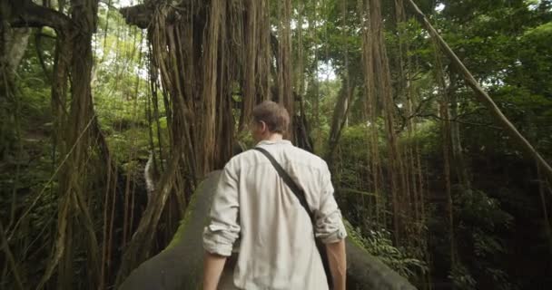 Jeune homme marchant dans les escaliers anciens magnifiquement sculptés dans le temple de la jungle vers un arbre tropical avec plusieurs longues vignes — Video