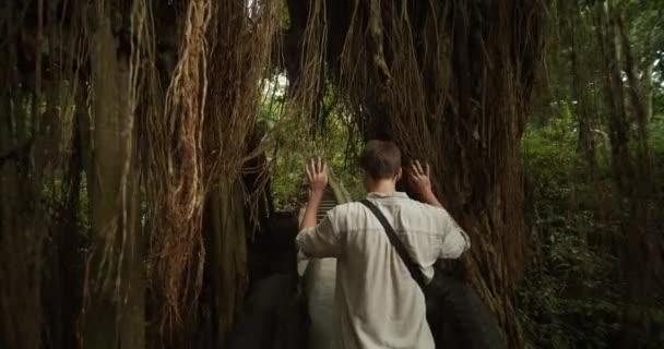 Dolly Shot eines jungen Entdeckers, der durch die Reben eines exotischen Baumes in einem tropischen Wald entlang einer antiken Ruinen-Treppe im Dschungel von Bali geht — Stockvideo