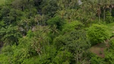 Bali 'deki sık ormanlarda saklanan tropik yerleşim yerlerinin hava görüntülerini kapatın.