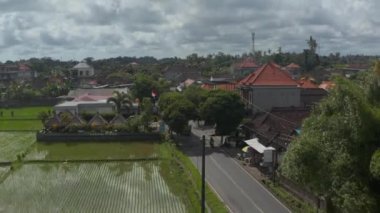 Endonezya 'nın Bali kentindeki bir yerleşim bölgesinde sokağın kenarındaki sulamalı pirinç tarlasının kaidesel görüntüsü.