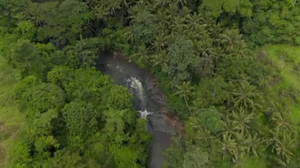 Foto aérea tras el flujo de un río selvático escondido por una espesa vegetación exuberante en una selva tropical — Vídeos de Stock