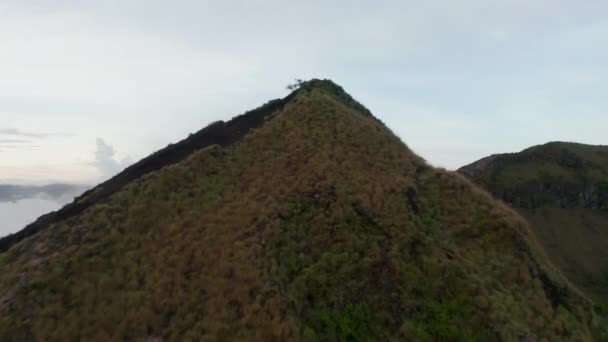 Menaiki udara dolly ditembak terbang melewati puncak gunung Batur di Bali ditutupi vegetasi tropis — Stok Video
