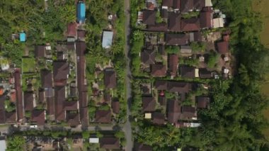 Endonezya 'nın Bali kentindeki tipik yoğun yerleşim yerlerindeki evlerin çatılarına tepeden aşağı doğru bakan kuşlar görülüyor.