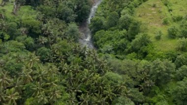 Tropikal bir yağmur ormanında taşların arasından akan orman nehrinin üzerine havadan çekilen eğik çekim.