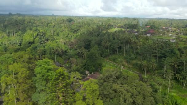 Luftaufnahme des Tempels Tirta Empul, versteckt in einer dichten tropischen Vegetation. Hindutempel mit Weihwasserteich zur Reinigung von Bädern. — Stockvideo