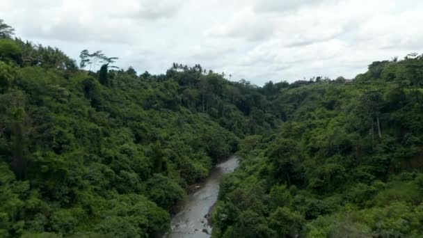 Dolly strzał z powietrza rzeki dżungli płynącej przez kanion w tropikalnym lesie deszczowym z bujną roślinnością zieloną — Wideo stockowe