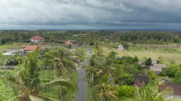 Endonezya, Bali 'de palmiye ağaçları ve geleneksel konut evleri ile çevrili çarpıcı şehir yolunda trafiğin hava kulesi görüntüsü — Stok video