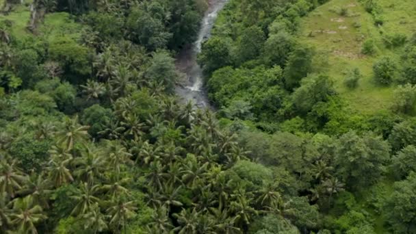 熱帯雨林の石の間を流れるジャングルの川で空中傾斜ショットを閉じる — ストック動画