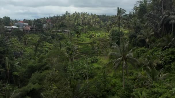 Boneca aérea lenta disparada através da selva com belos campos de arrozais soalheiros rodeados por vegetação exuberante e uma pequena aldeia rural na colina em Bali, Indonésia — Vídeo de Stock