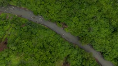Yukardan aşağıya doğru dönen hava kuşları yağmur ormanlarındaki yoğun yemyeşil yaprakların arasından akan bir orman nehrine bakıyor.