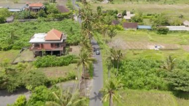 Bali kırsalında geleneksel evlerin önünden geçen palmiye ağaçlarıyla dolambaçlı bir yoldaki trafiğin hava kulesi görüntüsü