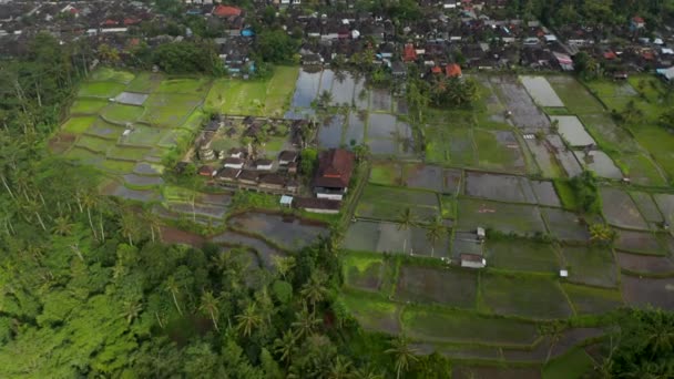 Aerial shot circling the Pura Pegulingan temple surrounded by flooded rice fields in Bali. Place of worship for Hindus and Buddhists — Wideo stockowe