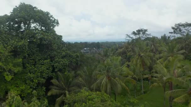 Revelación aérea de una pequeña comunidad rural y campos de arroz de granja irrigados en la espesa selva tropical en Indonesia — Vídeo de stock