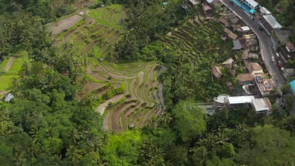 Close up aerial overhead view of a terraced irrigated rice field farms on the side of the mountain next to rural villages on the island of Bali in Bali, Indonesia — Wideo stockowe